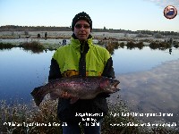 Klik her for at se billedet i stor format