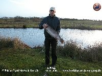 Klik her for at se billedet i stor format