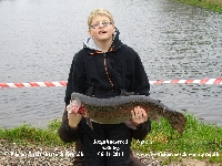Klik her for at se billedet i stor format